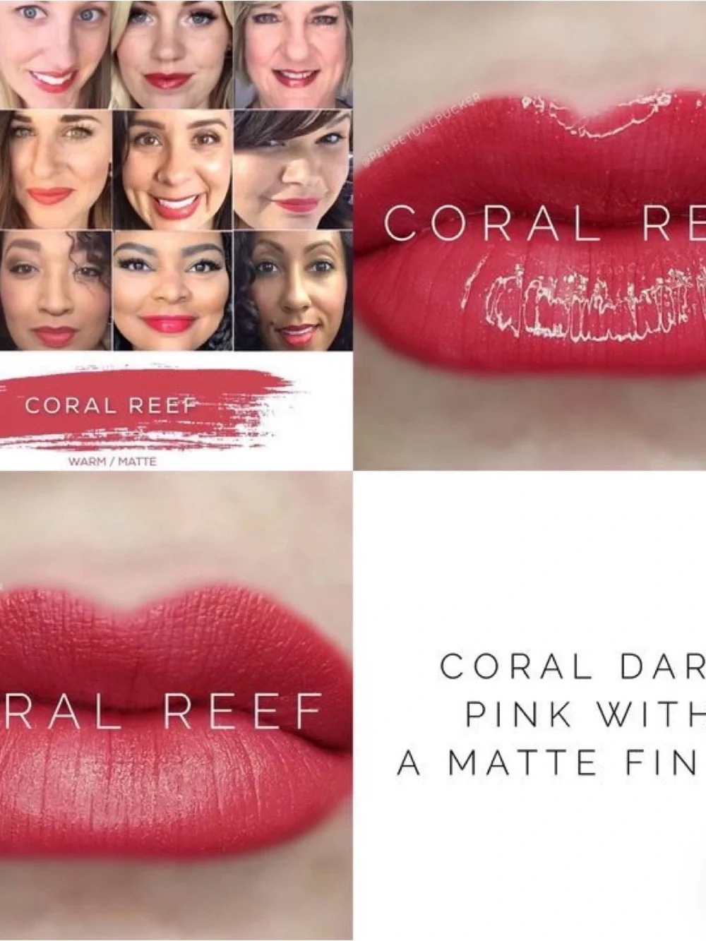 Lipsense by SeneGence Coral Reef Matte Lipstick - new never opened liquid lip